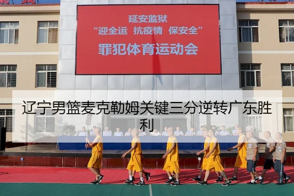 liao-ning-nan-lan-mai-ke-lei-mu-guan-jian-san-fen-ni-zhuan-guang-dong-sheng-li-2-627.jpg